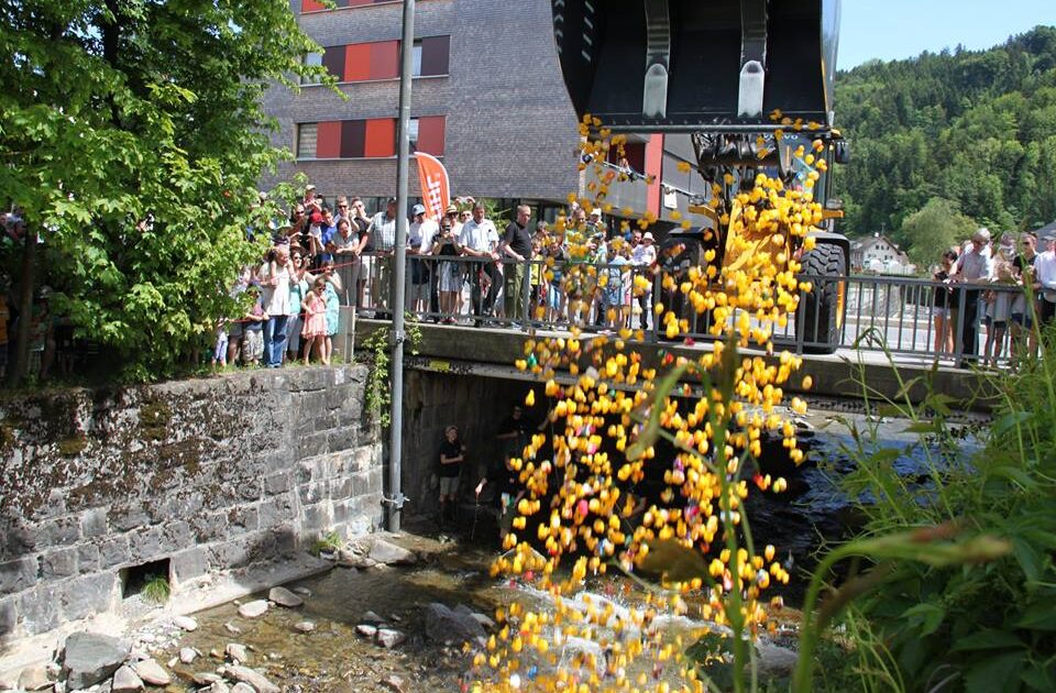 22.05.2016 Entenrennen in Schwarzach