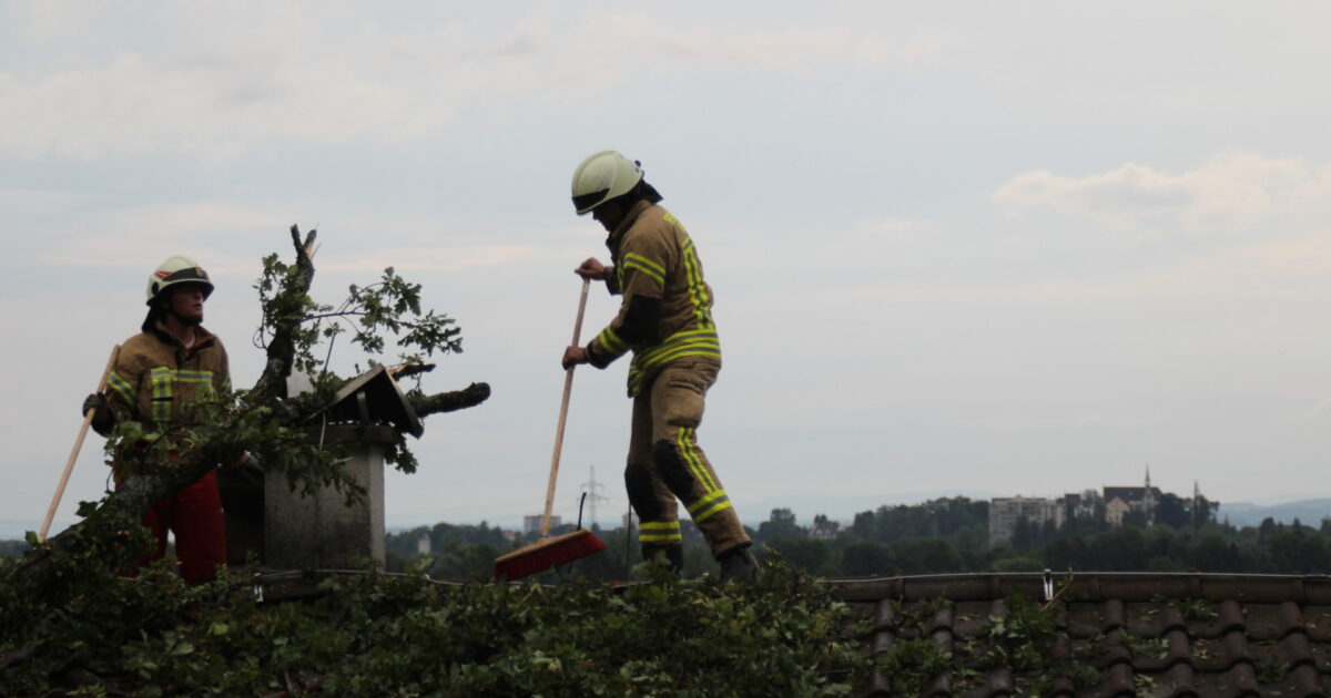 ENr-37 10.07.2017 19:35 Uhr – Schloßgasse >> Baum auf Haus