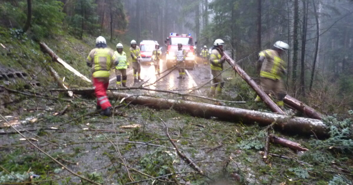 ENr-4 04.01.2018 14:45 Uhr – Bucherstraße >>Baum verlegt Straße