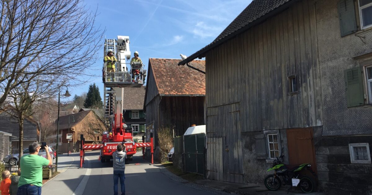 ENr-19 25.03.2018 13:39 Uhr – Kirchstraße >> Katze auf Dach