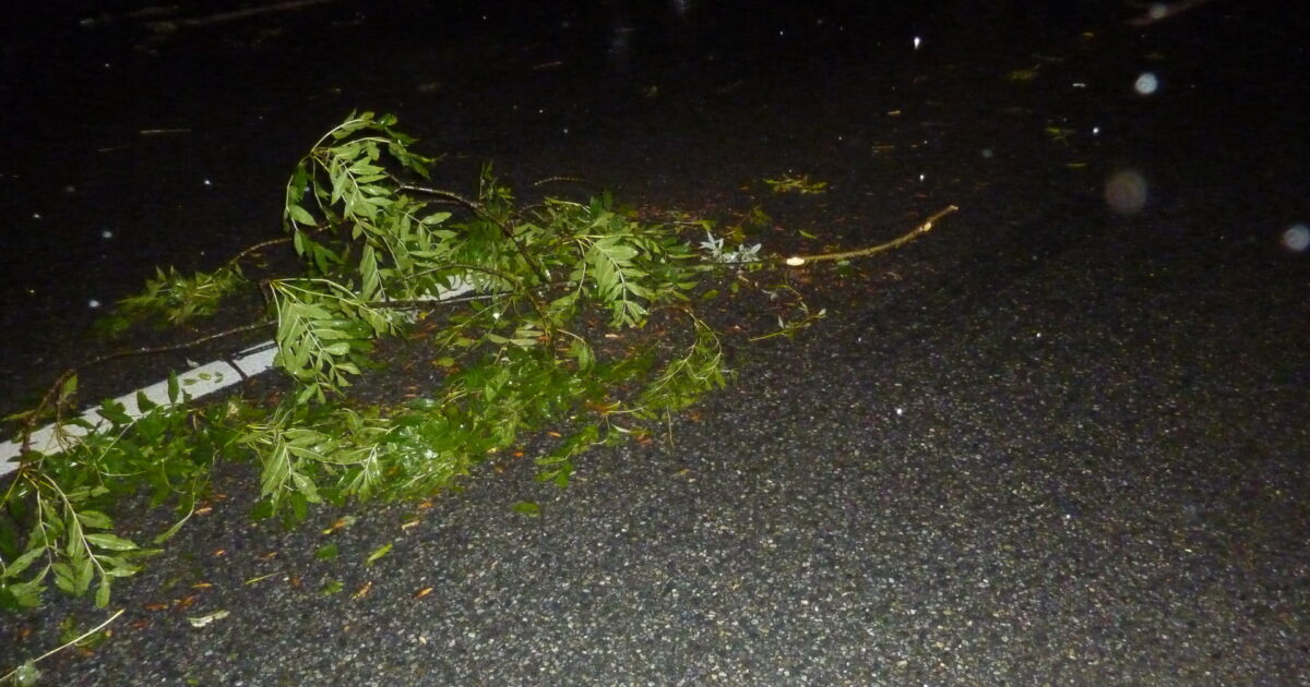 ENr-58 23.09.2018 22:30 Uhr – L190 Vorarlberger Straße >> Sturmereignis