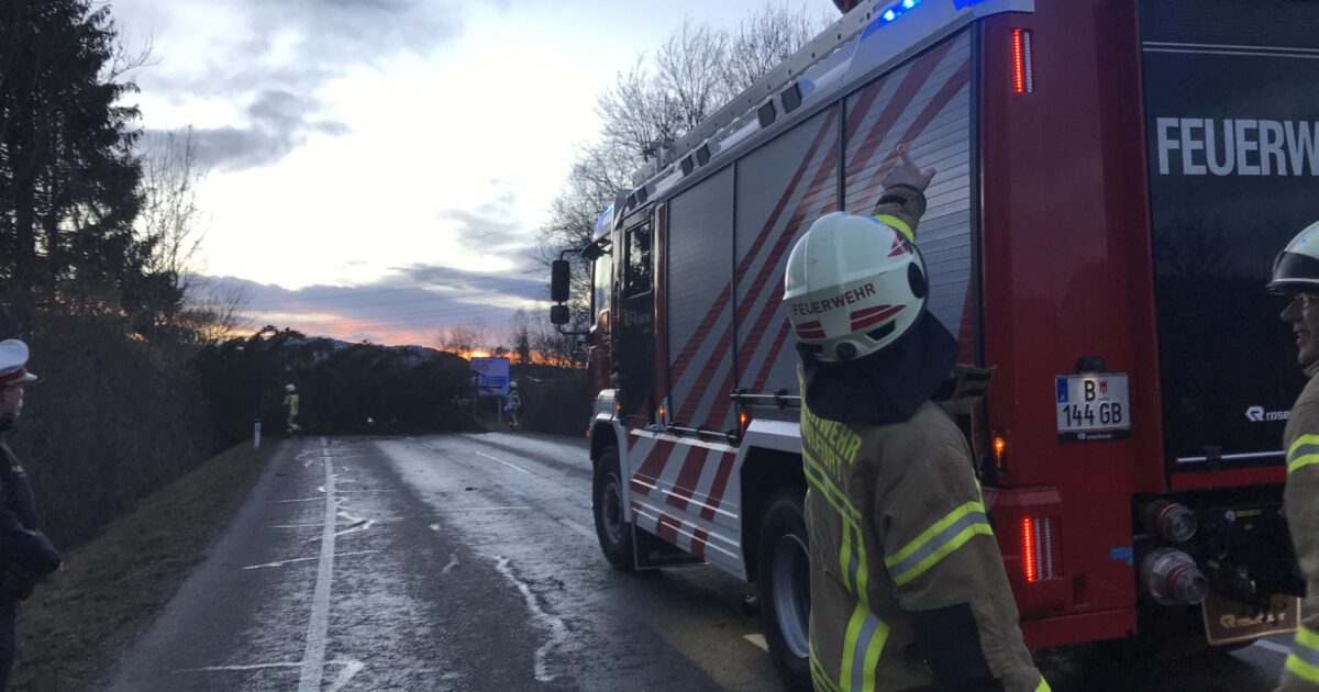 ENr-14 04.03.2019 18:04 Uhr – Senderstraße >> Baum verlegt Straße