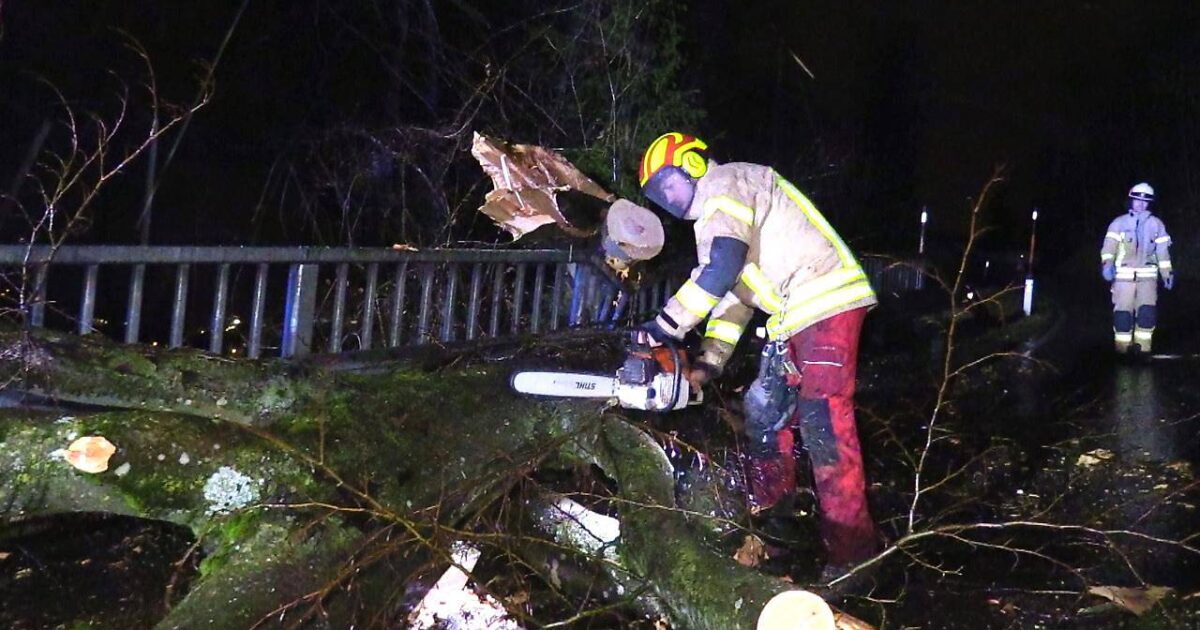 ENr-7&8 04.01.2020 05:01 Uhr – WOLFURT >> Sturmschaden