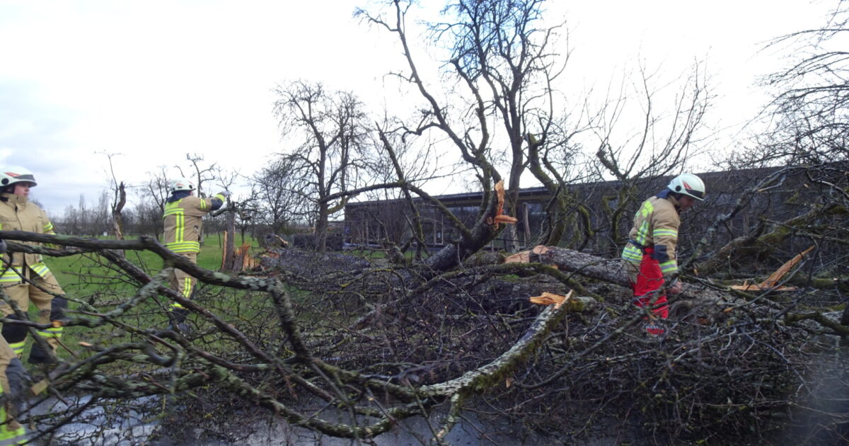 ENr-10-19 10.02.2020 – WOLFURT >> mehrere Sturmeinsätze