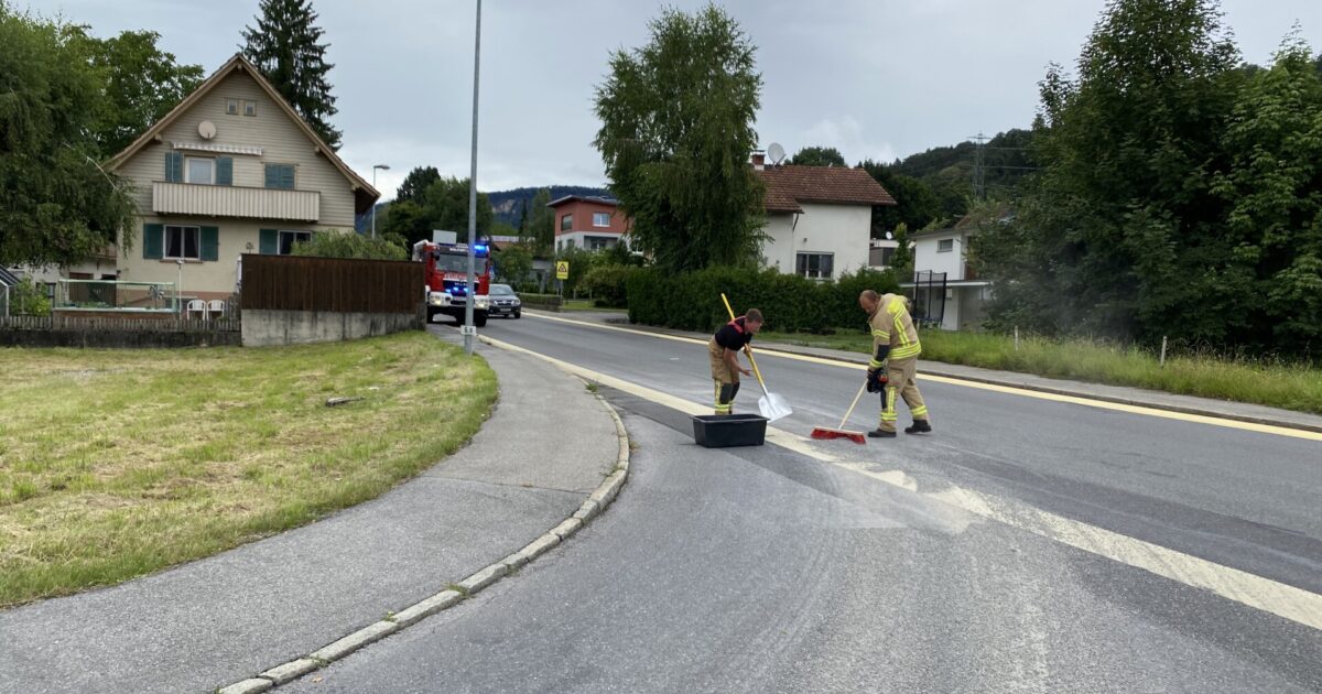 ENr-43 17.07.2020 15:20 Uhr – Weberstraße >> verschmutzte Fahrbahn