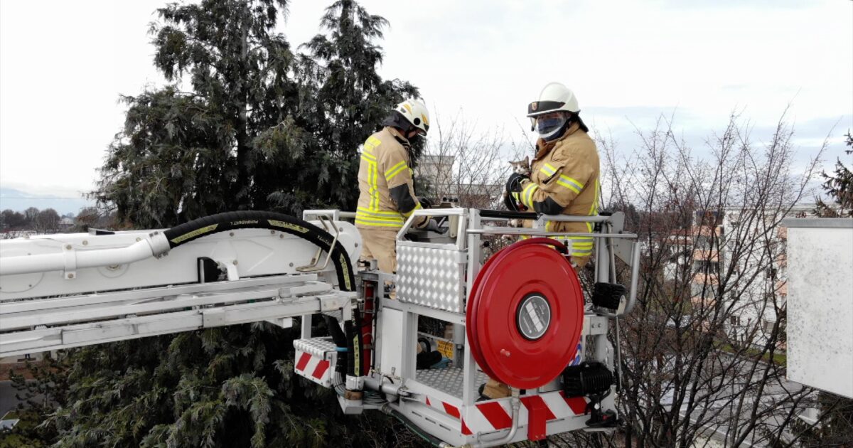 Einsatz Nr-10 01.04.2023 10:44 Uhr – Kirchstraße >> Katze auf Dach