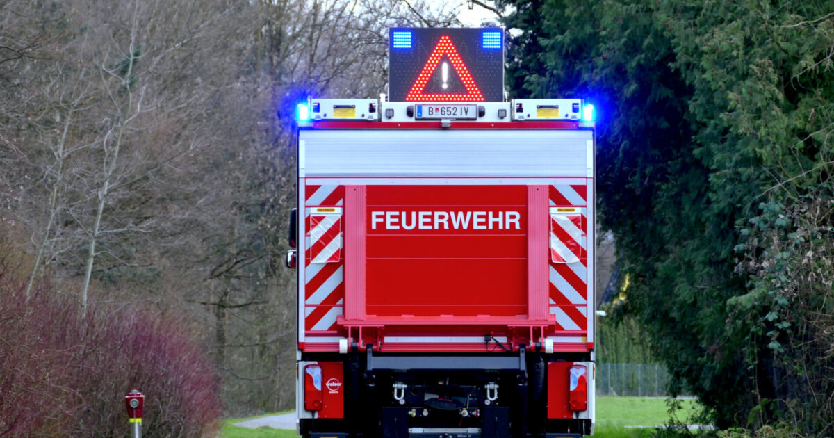 Einsatz-Nr. 035 | 30.05.2025 | 17:58 Uhr – Bützestraße>> verschmutzte Fahrbahn