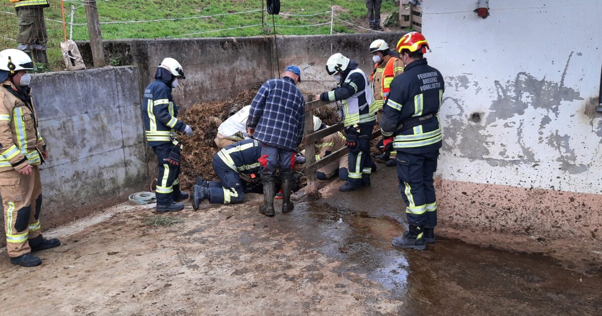 ENr-42 18.04.2021 06:35 Uhr – Frickenescherweg >> Kalb in Jauchegrube