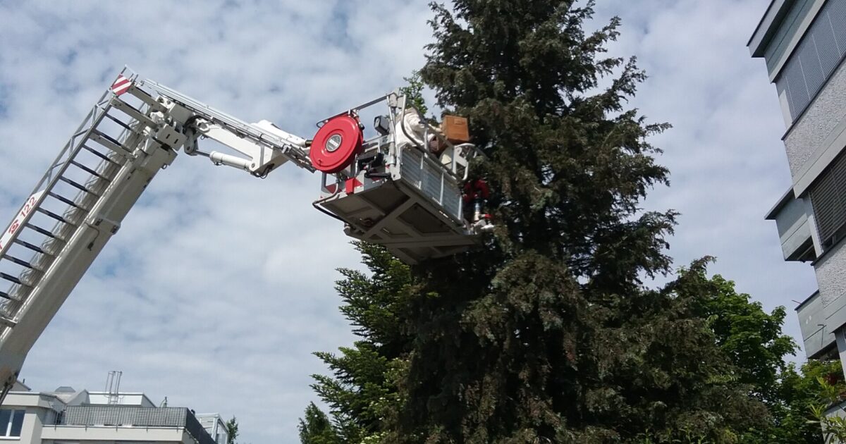 ENr-50 03.06.2021 11:00 Uhr – Lauterach >> Unterstützung mit Steiger