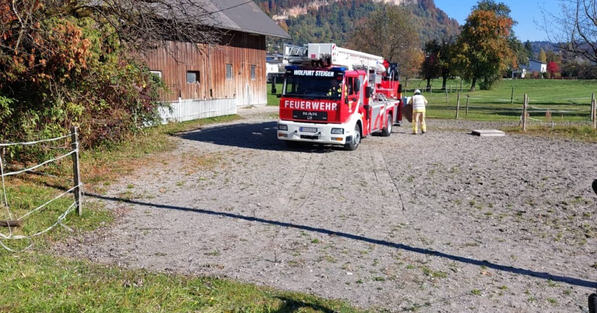 Einsatz-Nr 105 27.10.2021 13:24 Lauterach Bundesstraße Brand im Stallgebäude > Sattelkammer