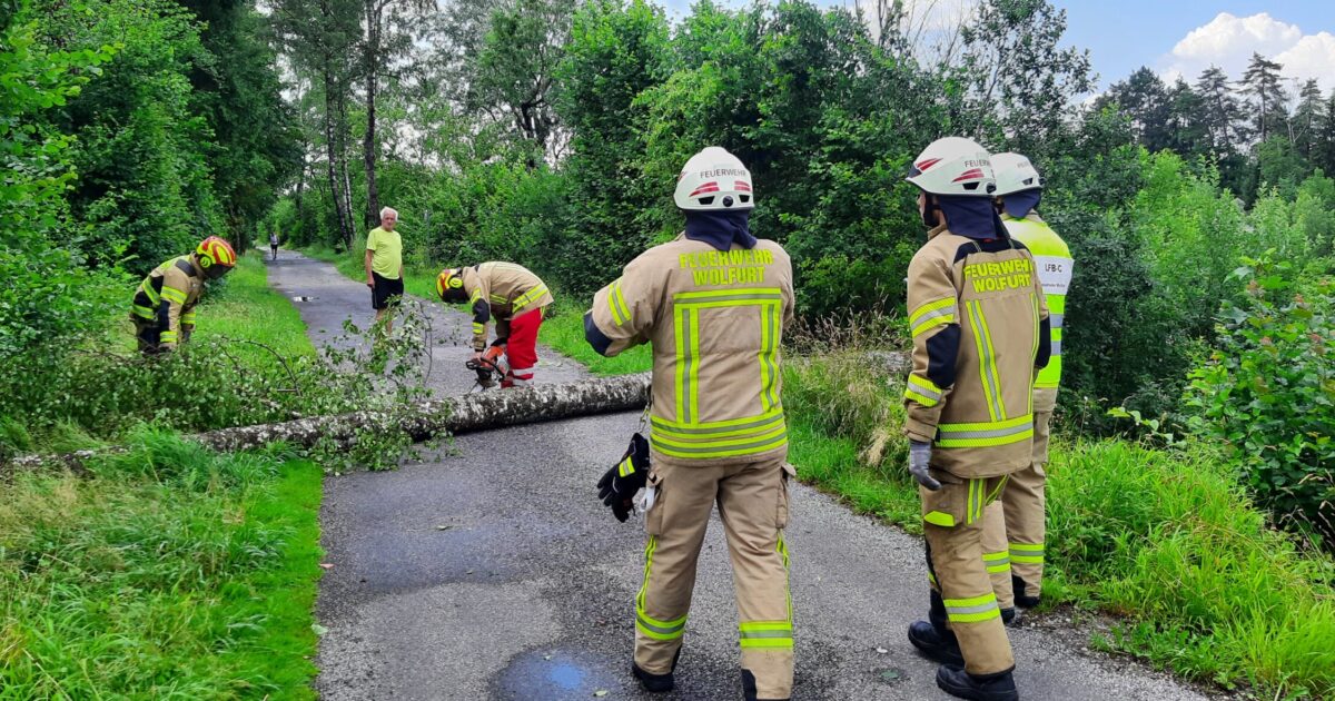Einsatz Nr-48 – 52 16.06.2022 – Mehrere umgestürzte Bäume durch Unwetter