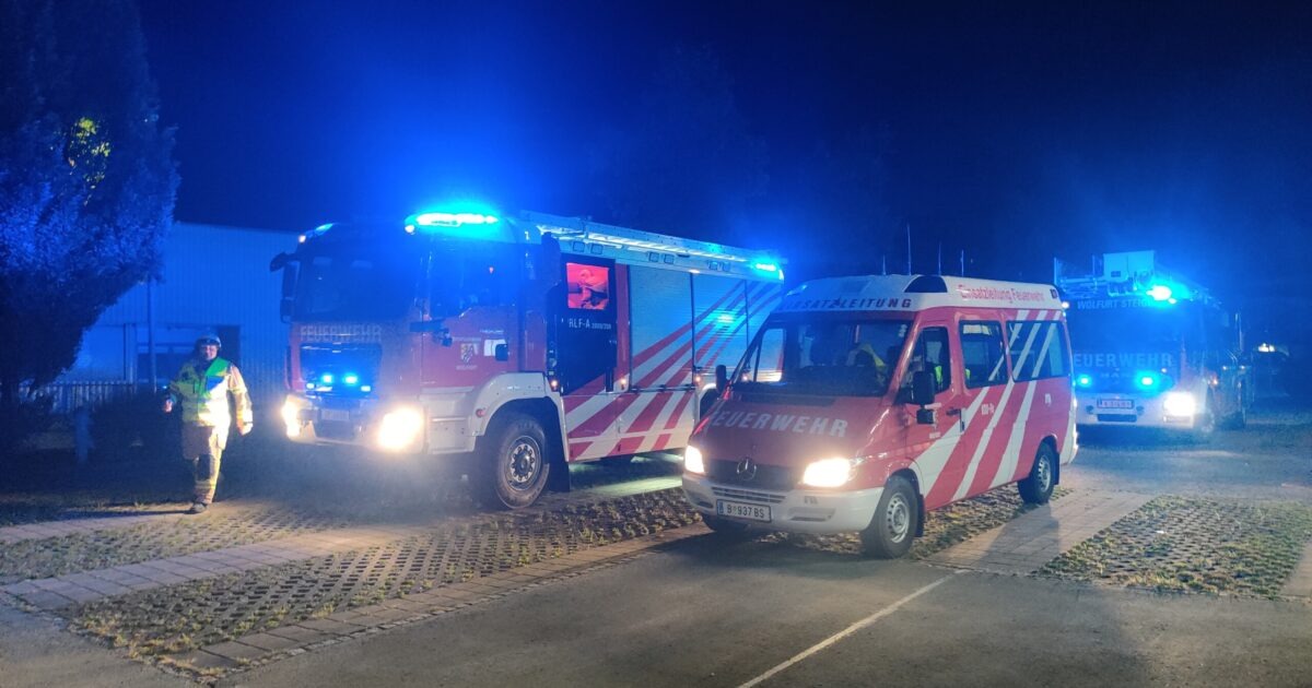 Einsatz Nr-347 24.11.2022 – Brückenweg >> Alarmsignal hörbar
