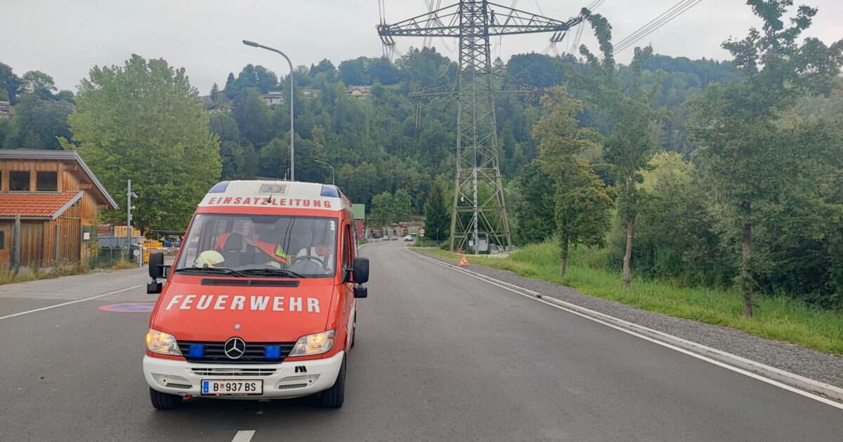Einsatz Nr-75 06.08.2022 10:26 Uhr – Bildsteinerstraße >> Rauch von Strommast