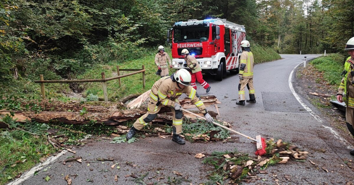 Einsatz Nr-338 30.09.2022 16:40 Uhr – Bucherstraße >> Baum verlegt Straße