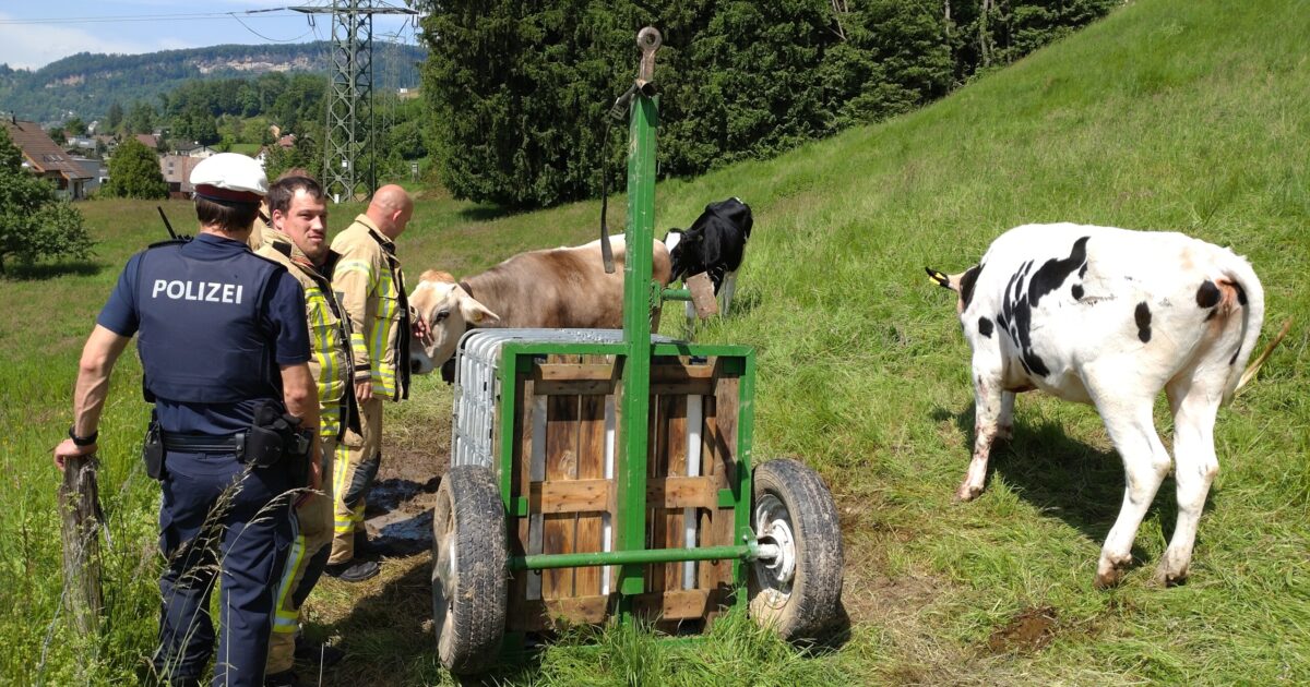 Einsatz Nr-22 22.05.2023 14:52 Uhr – Rutzenbergstraße >> Tierrettung