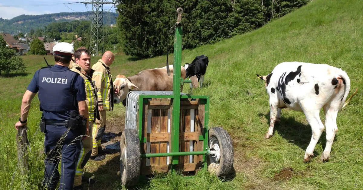 Einsatz Nr-22 22.05.2023 14:52 Uhr – Rutzenbergstraße >> Tierrettung