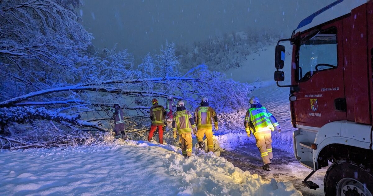 Einsatz-Nr 67 02.12.2023 07:08 Uhr – Frickenescherweg >> Baum verlegt Straße