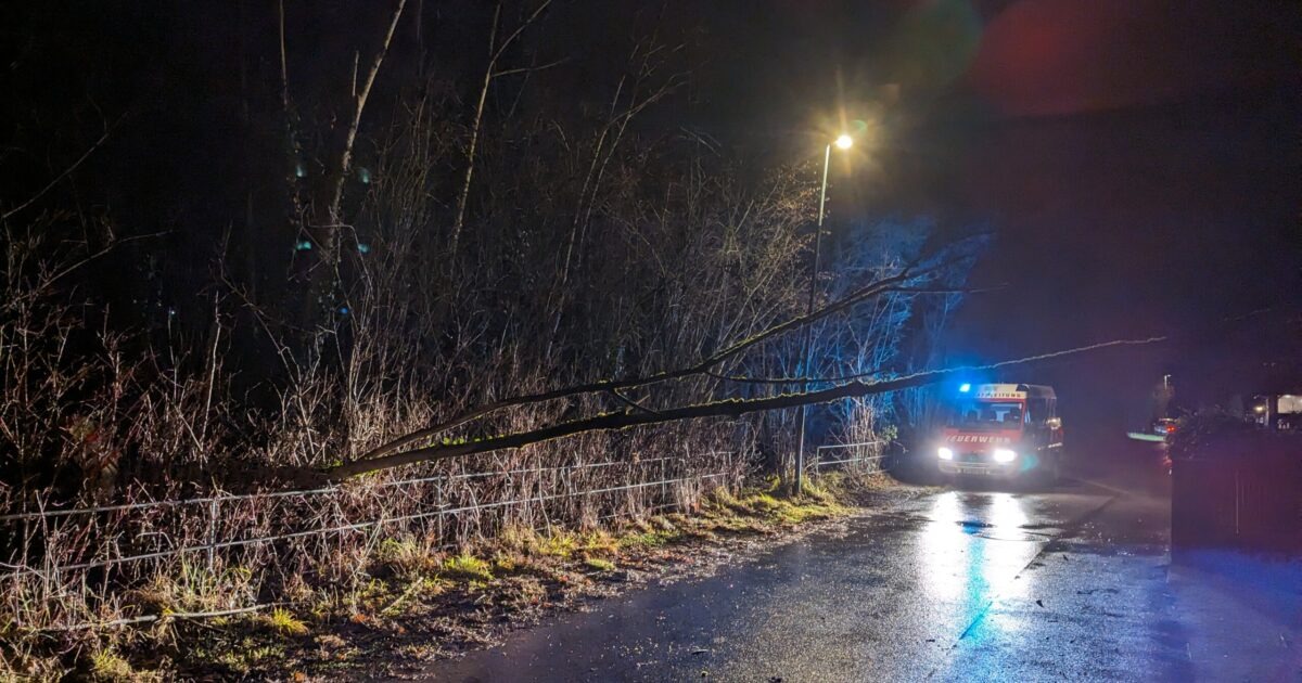 Einsatz-Nr 1 & 2 03.01.2023 – Wolfurt > Sturmschaden