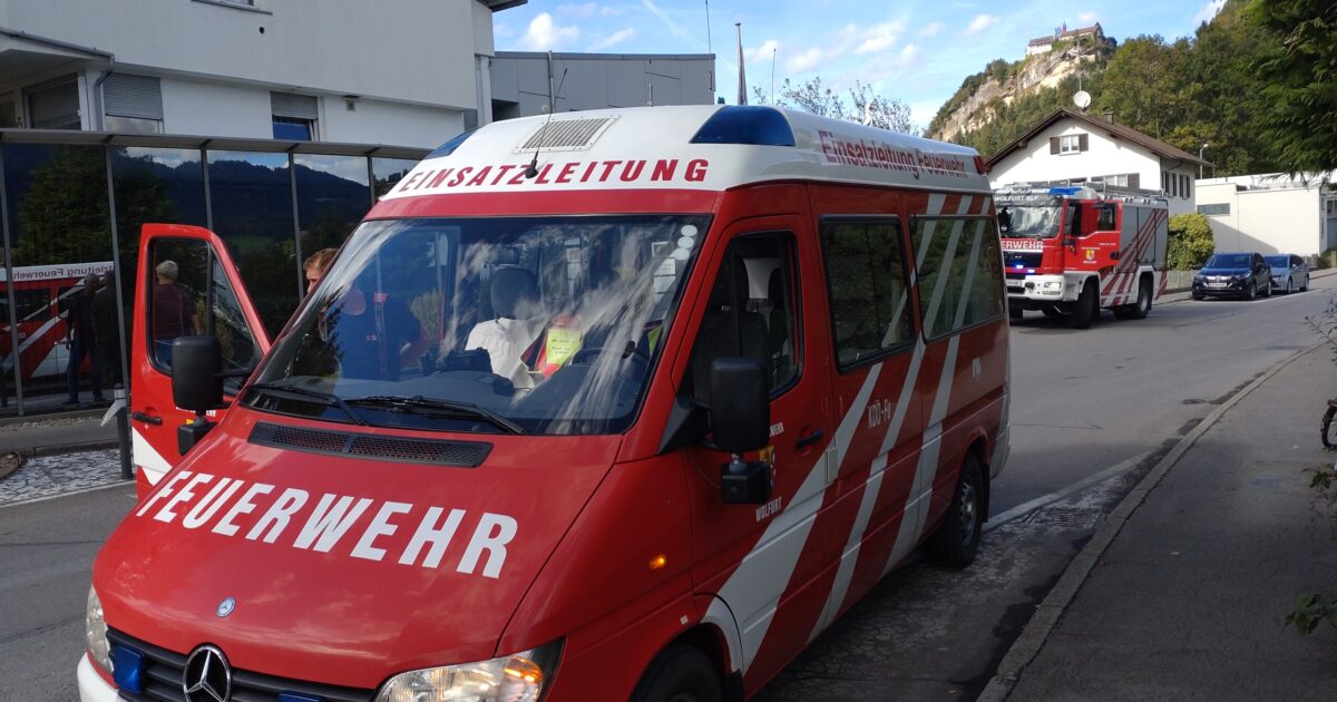  Einsatz-Nr. 115 30.09.2024 14:49 Uhr – Albert-Loacker-Str. >>Entstehungsbrand