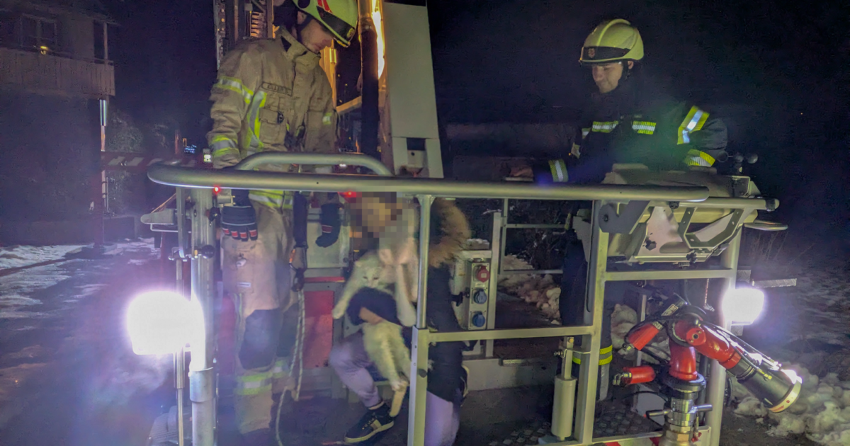 Einsatz-Nr. 132 27.12.2024 23:37 Uhr – Dorfweg >> Katze auf Dach