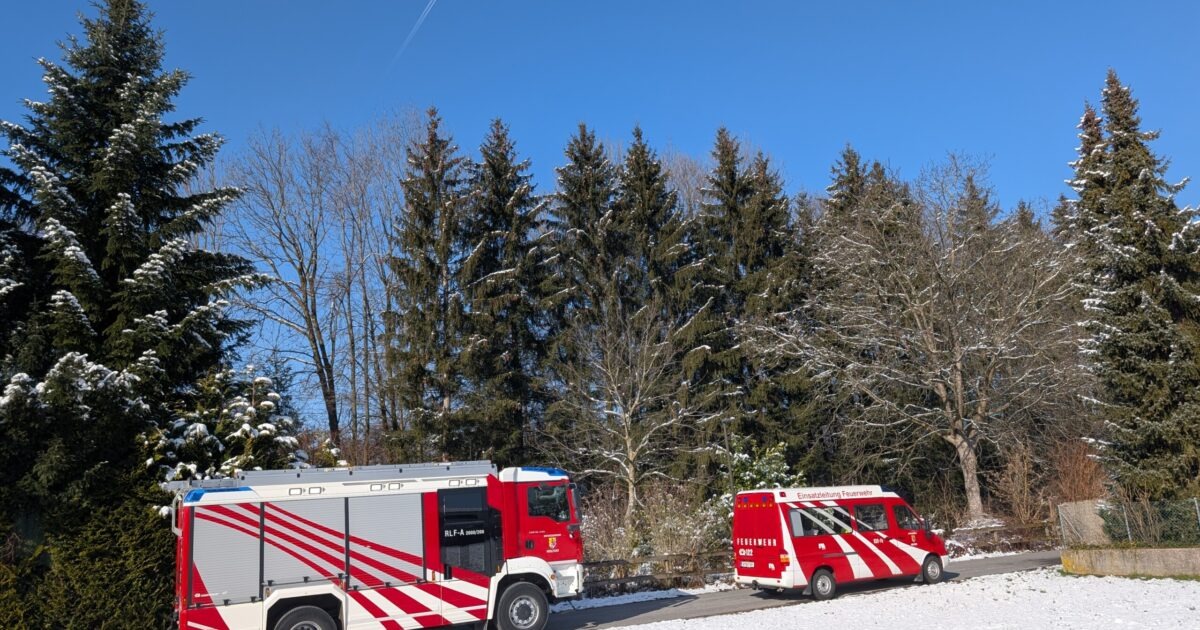 Einsatz-Nr. 013 15.02.2025 11:00 Uhr – Pfeilgasse >> Unterstützung Rettungsdienst