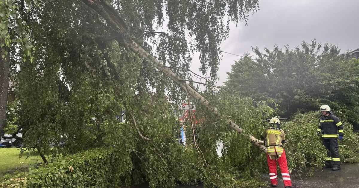 Einsatz-Nr. 038 | 15.06.2025 | 17:52 Uhr – Fattstraße >> Baum über Straße