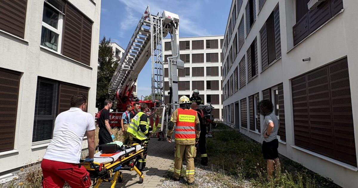 Unterstützung des Rettungsdienstes